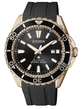 COLLEZIONE PROMASTER