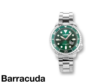 BARRACUDA